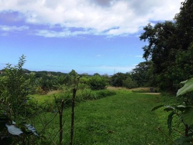 Waipouli Rd - Photo 1