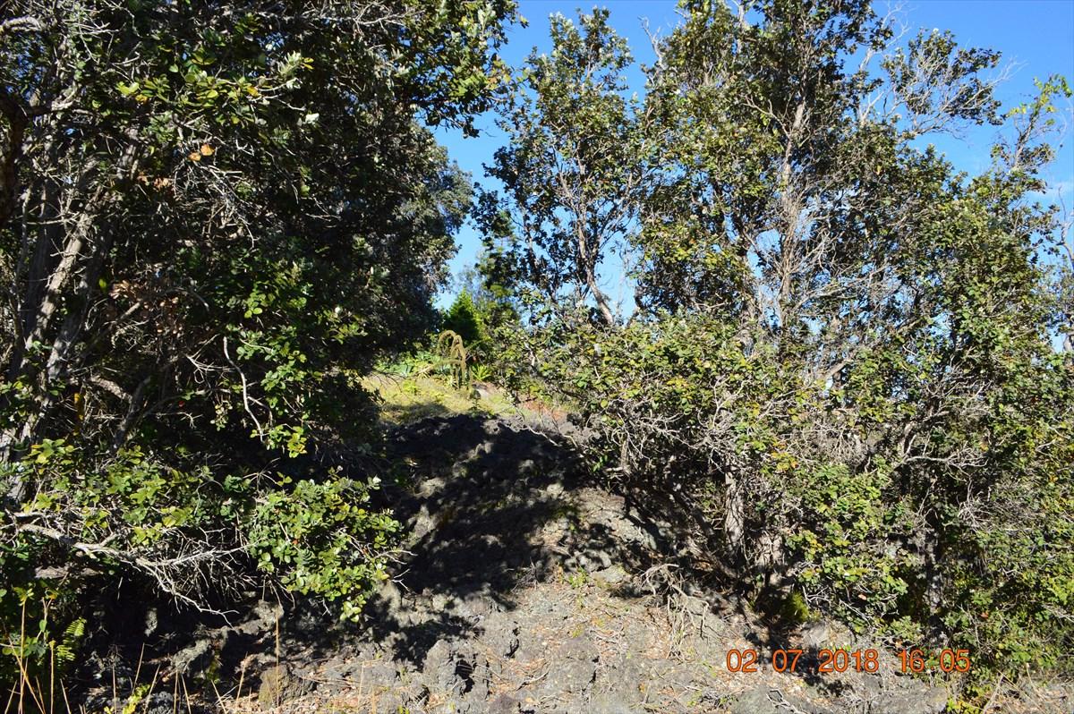 Leilani Pkwy - Photo 1