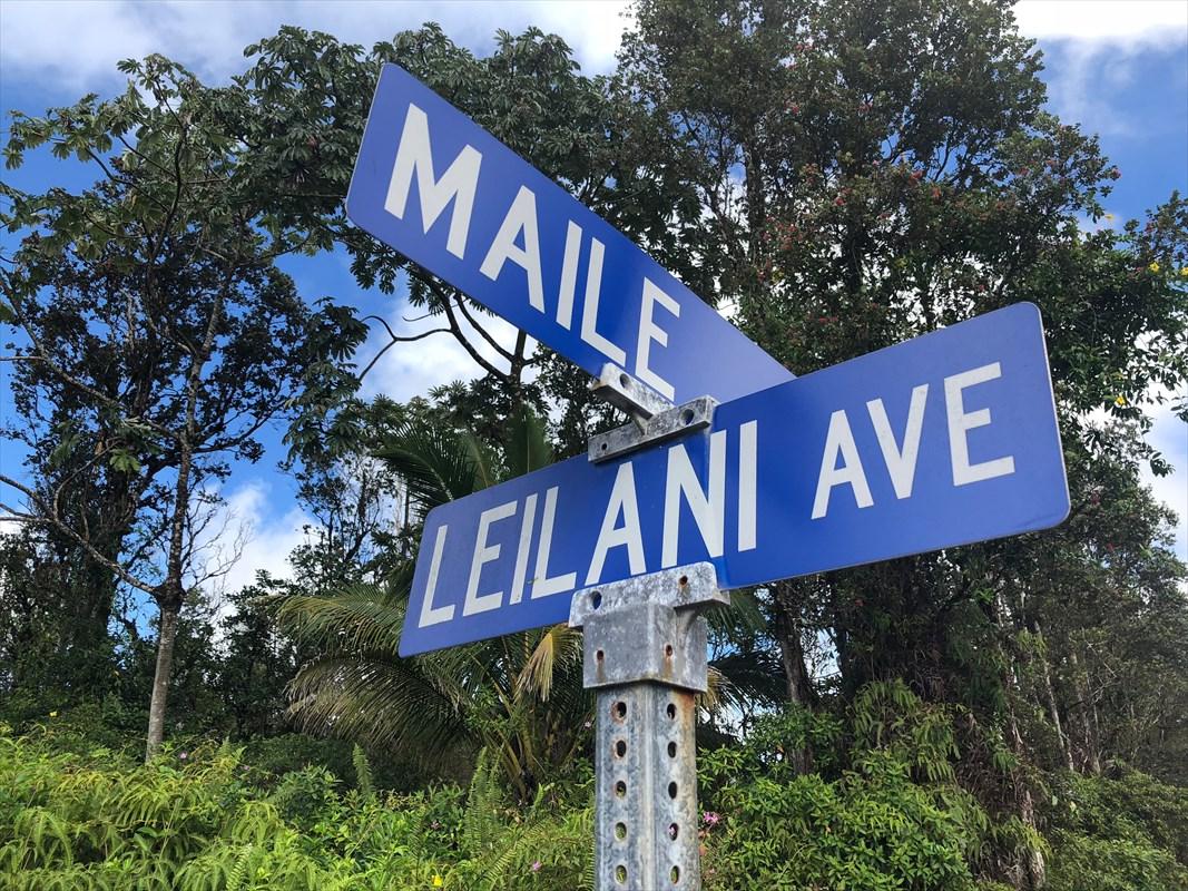 Leilani Blvd - Photo 1 Leilani Blvd - Photo 1