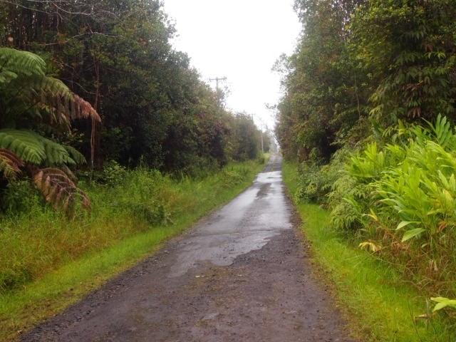 Mokehana St - Photo 1
