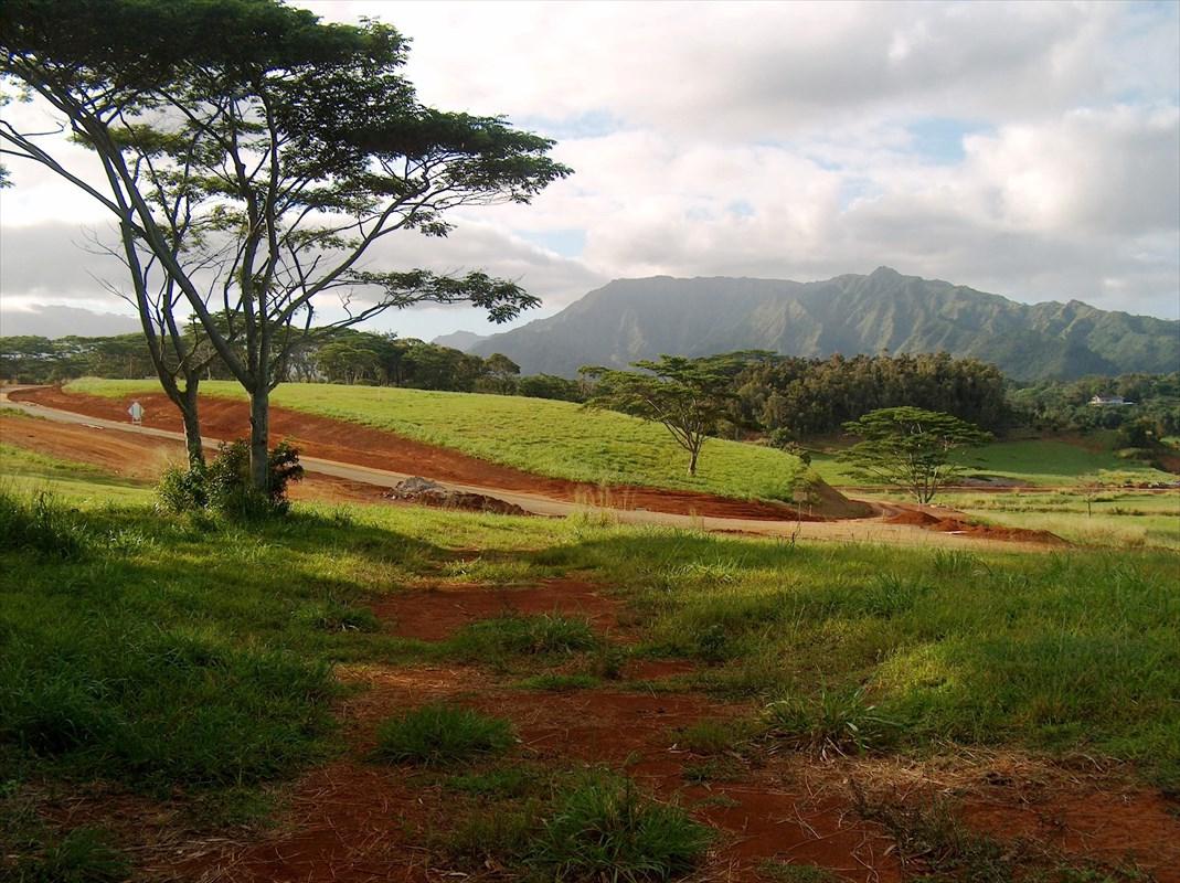 3-C Kulana Place - Photo 1