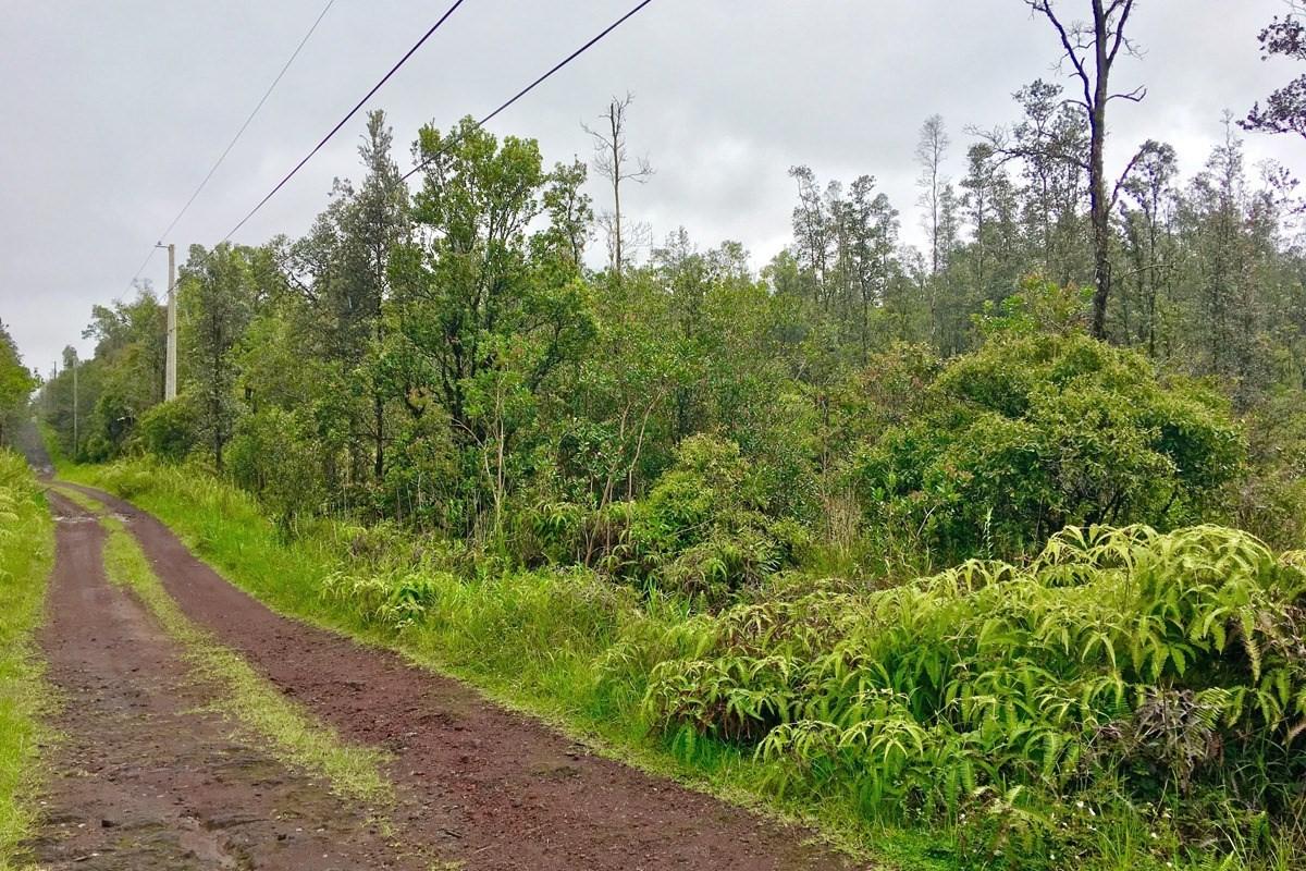 Road 4 (Io Kea) - Photo 1
