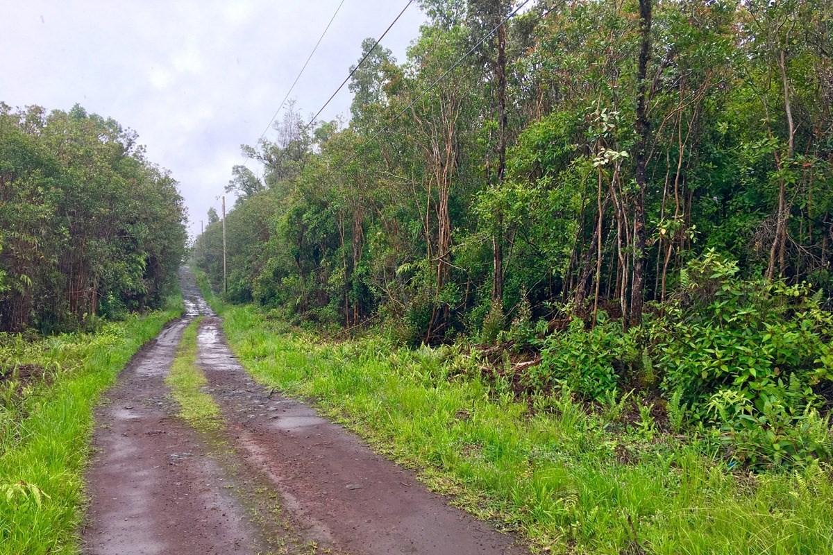 Road 4 (Io Kea) - Photo 1