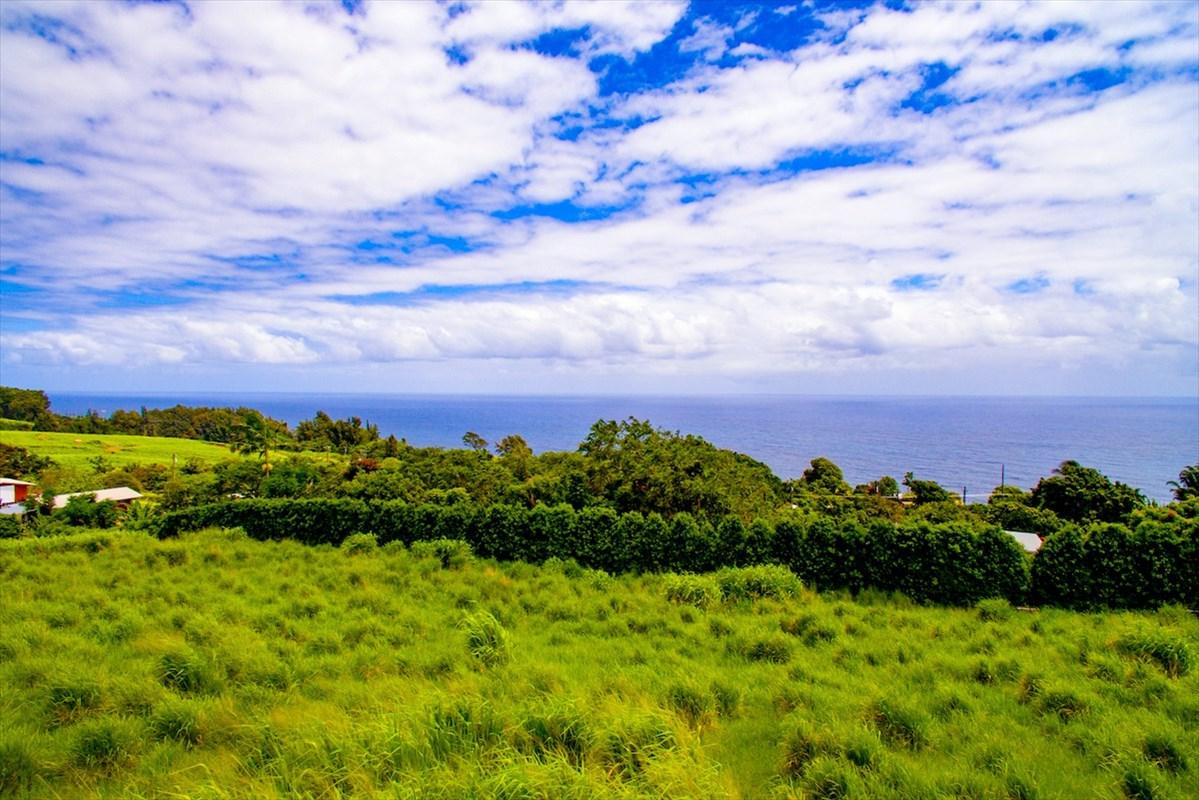 36-3349 Kuwili Lani Place - Photo 1
