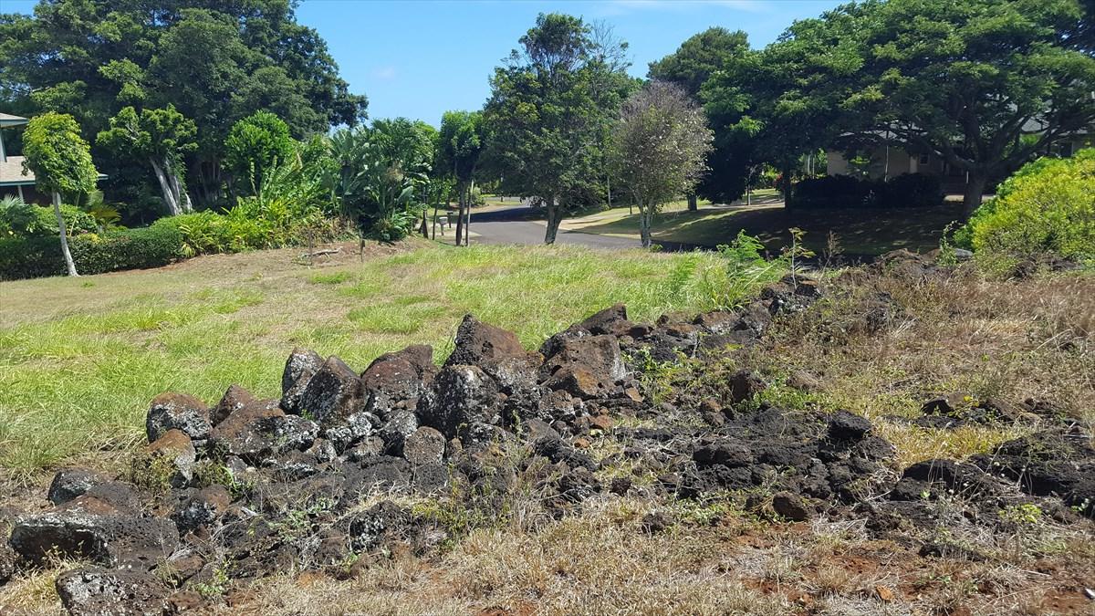 3036 Pua Akala Pl - Photo 1