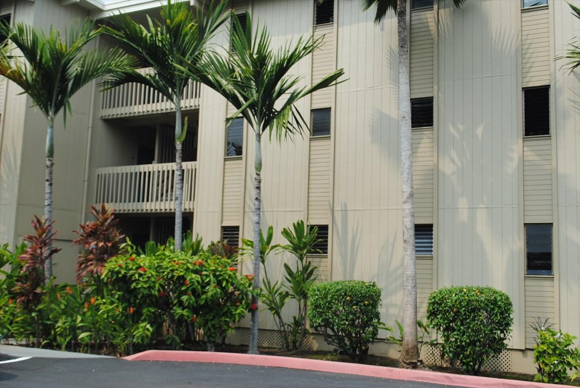 76-6233 Alii Dr - Photo 1