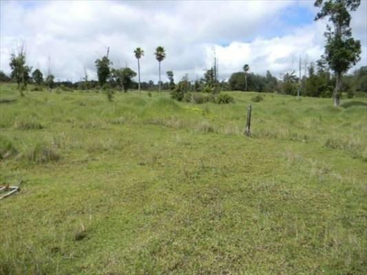 Glenwood Road - Photo 1