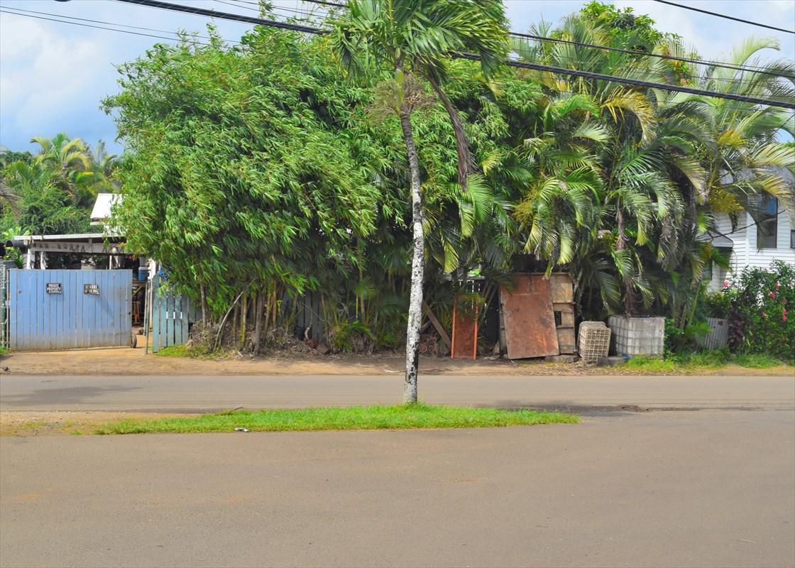 2461 Keneke St - Photo 1