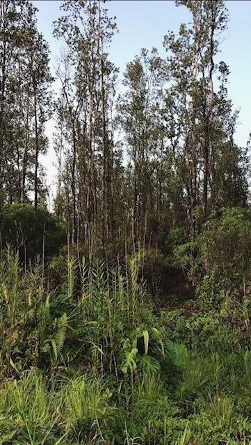 Road 8 (Moho) - Photo 1