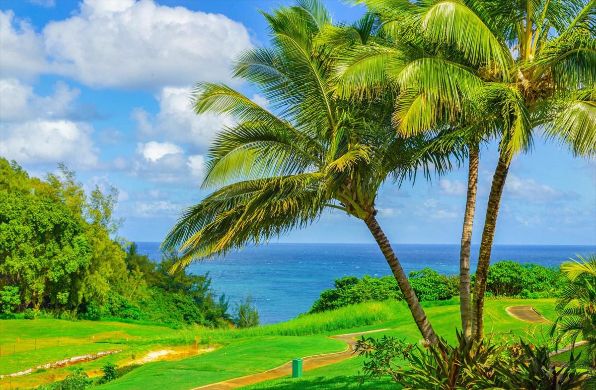 3942 Aloalii Dr - Photo 1