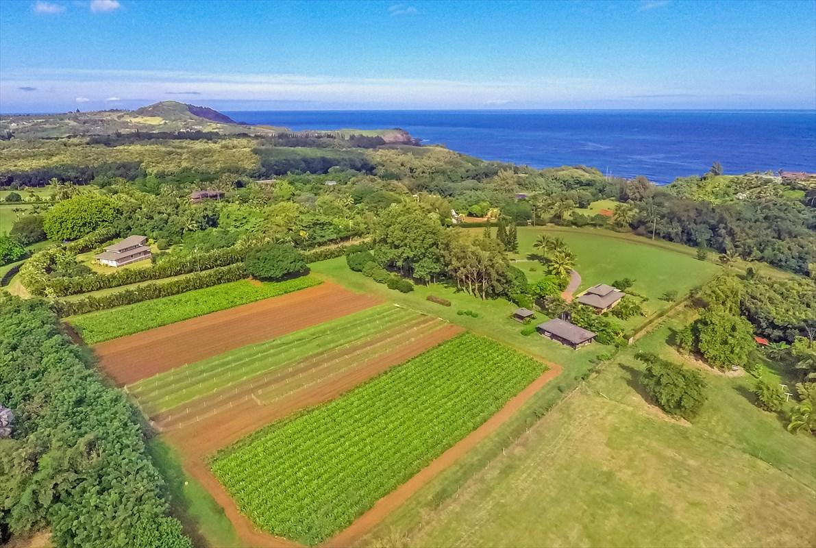 4235 N Waiakalua Road - Photo 1