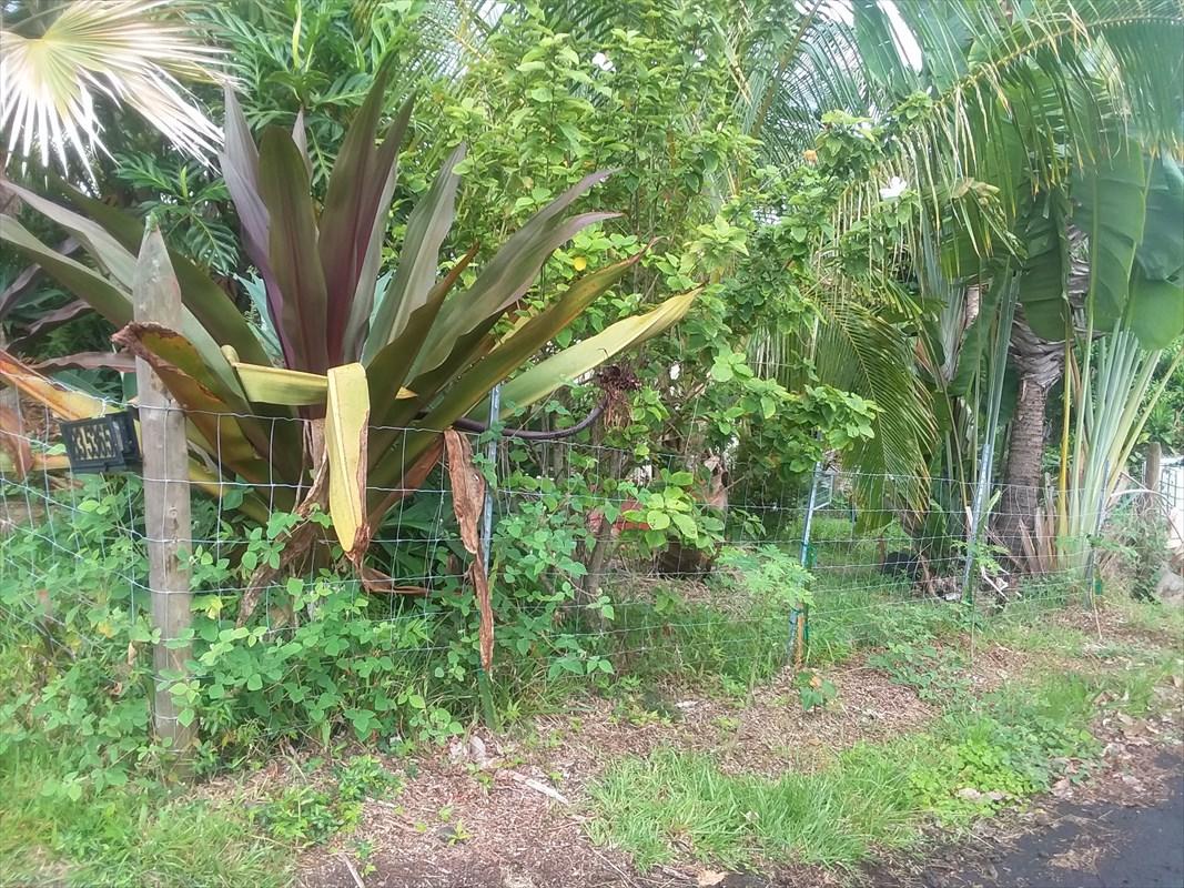 79-7586 Hawaii Belt Rd - Photo 1