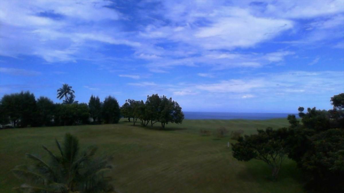 3875--3 Kamehameha Rd - Photo 1