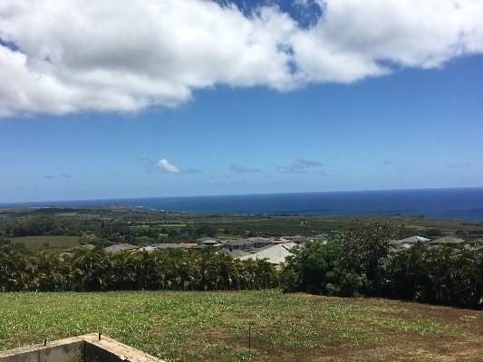 3660-A Lolo Rd - Photo 1