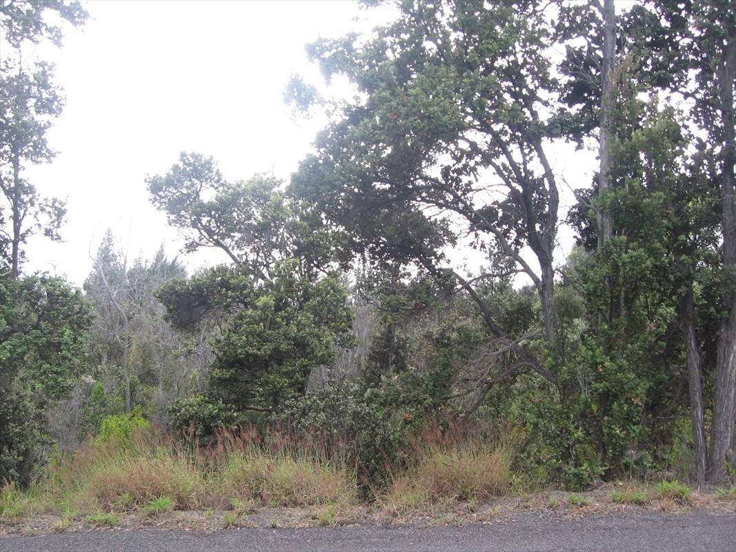 Lono Ln - Photo 1
