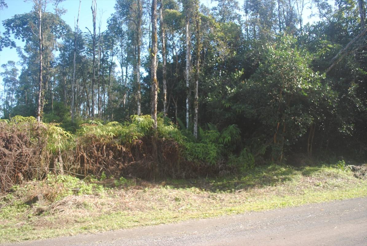 18TH AVE - Photo 1