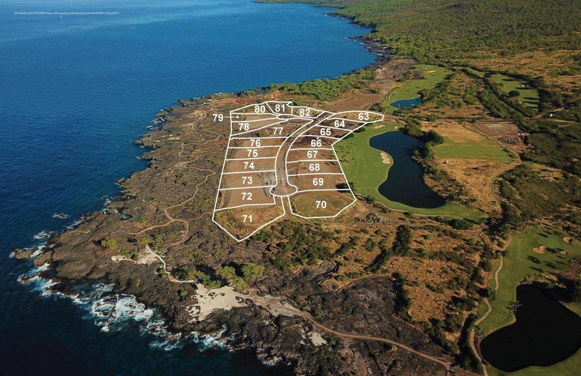Hawaii Loa Drive - Photo 1
