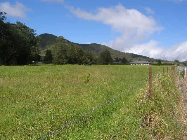 64-450 Mamalahoa Hwy - Photo 1