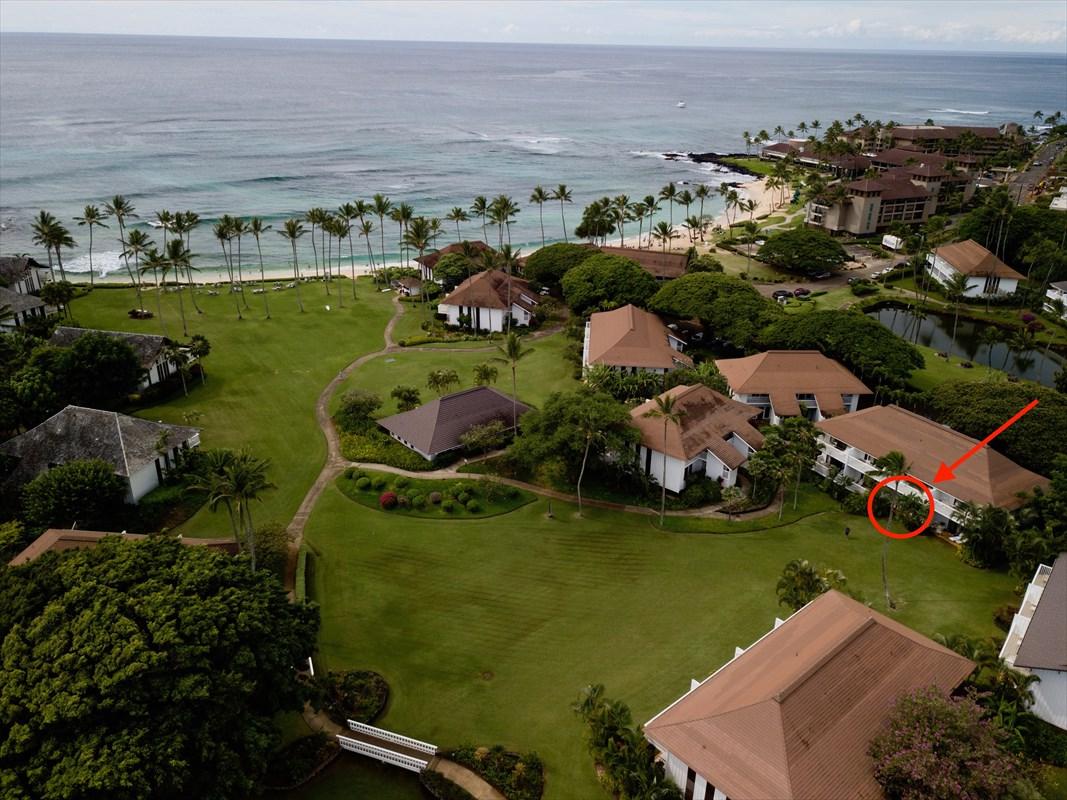 2253 Poipu Rd - Photo 1
