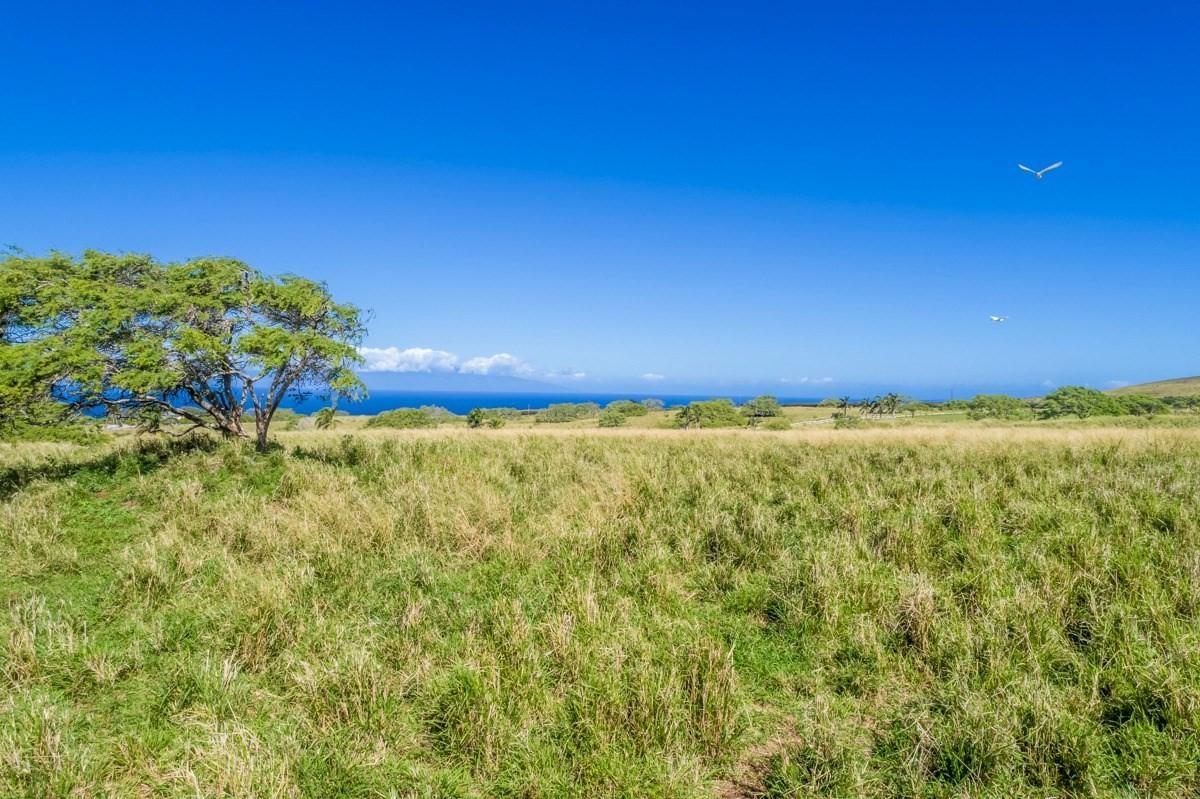 Puakea Dr - Photo 1