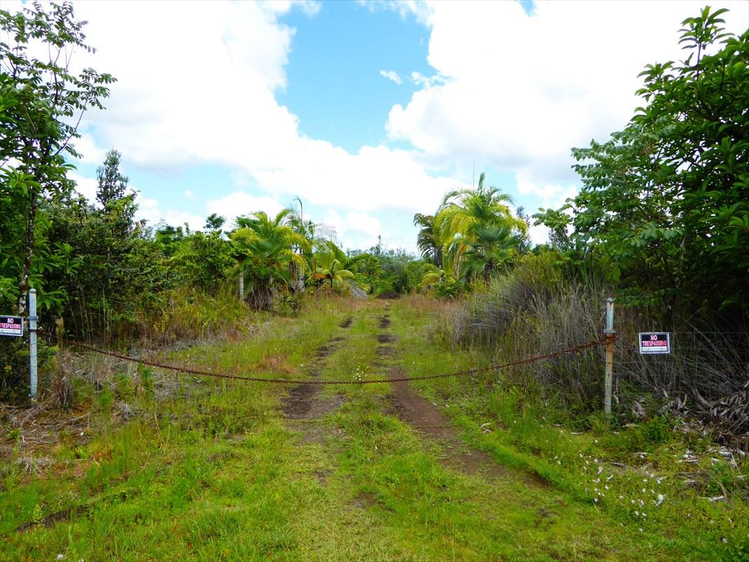 16-608 Orchid Land Dr - Photo 1