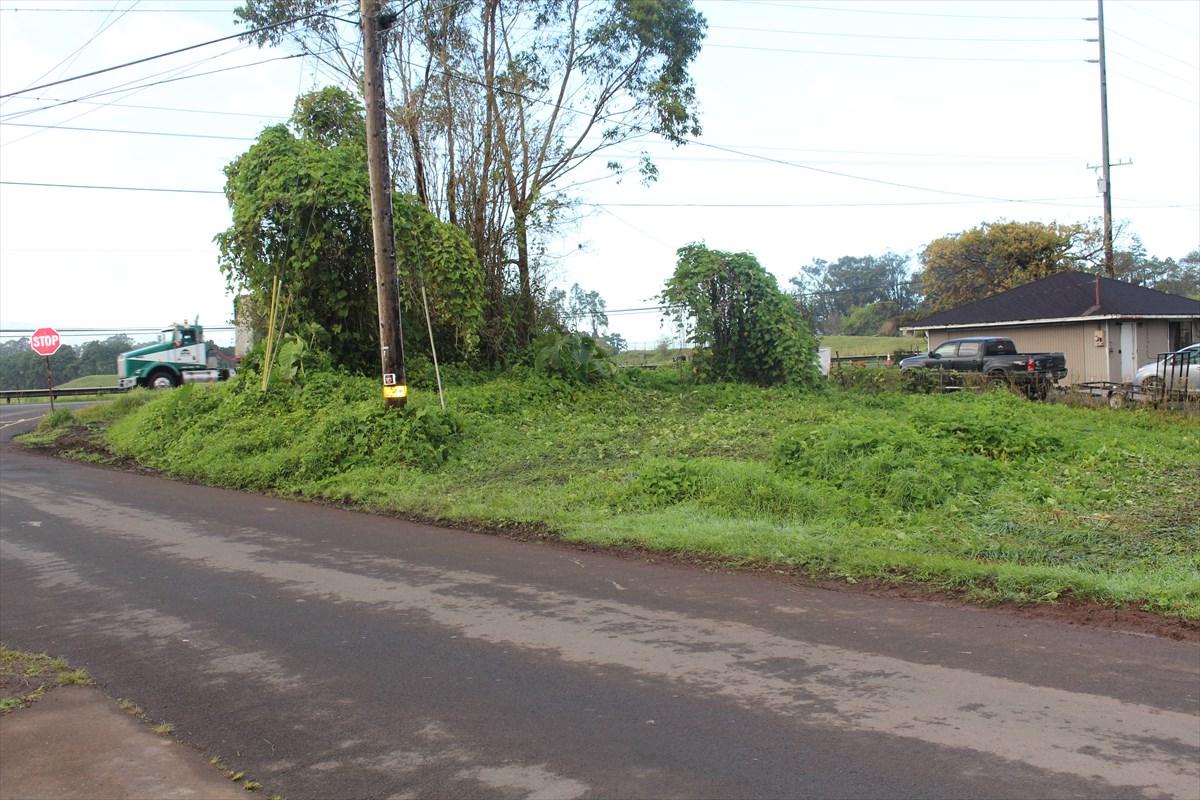 64-262 Mamalahoa Hwy - Photo 1