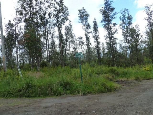 Road G (Wao Kele) - Photo 1