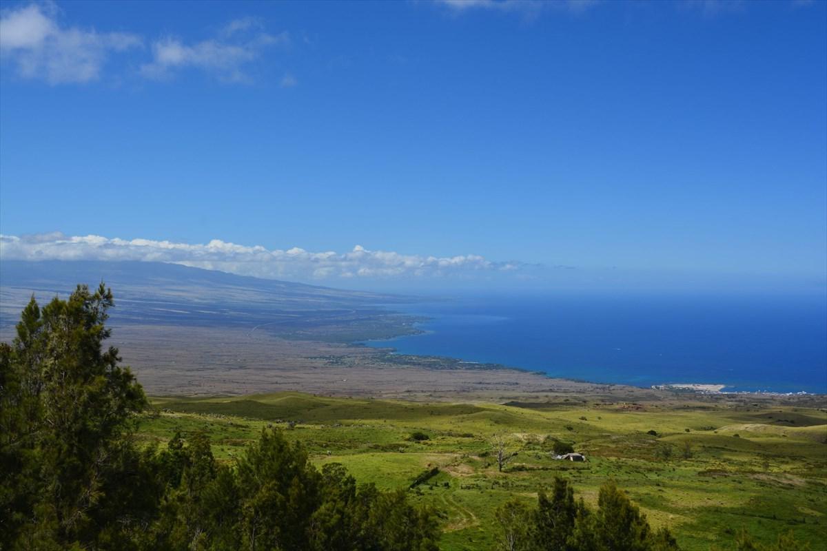 62-2741-A Kohala Mountain Rd - Photo 1