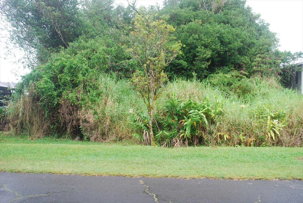 Kaniela Rd - Photo 1