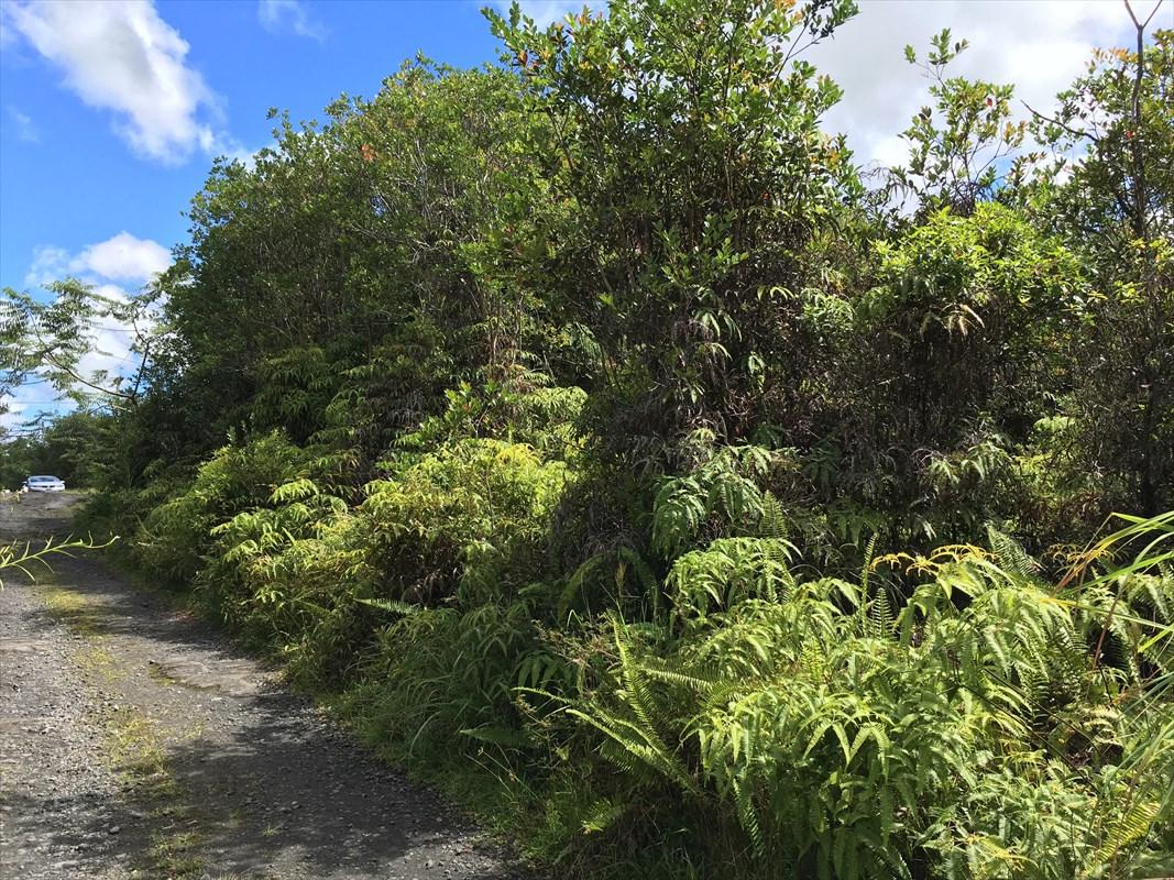 16-1557 Road 2 (Ao) - Photo 1