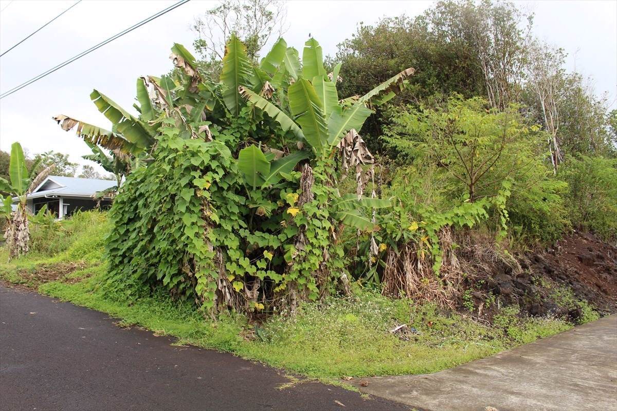 Kaniela Rd - Photo 1