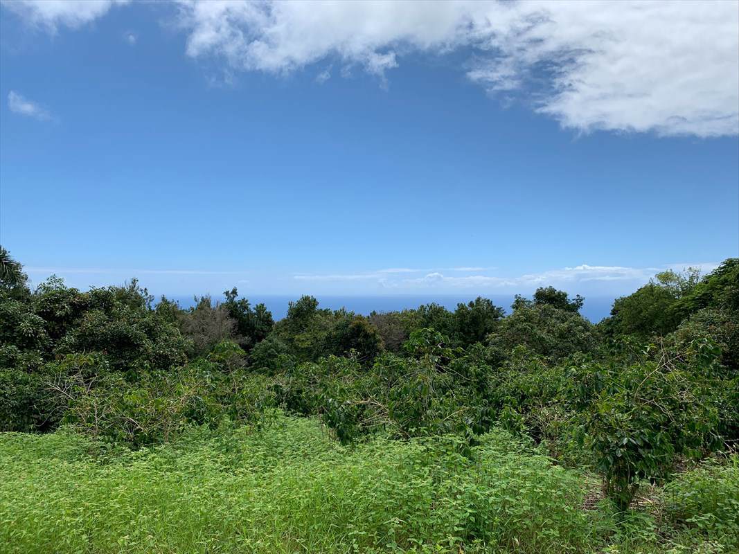 78-6537-B Mamalahoa Hwy - Photo 1
