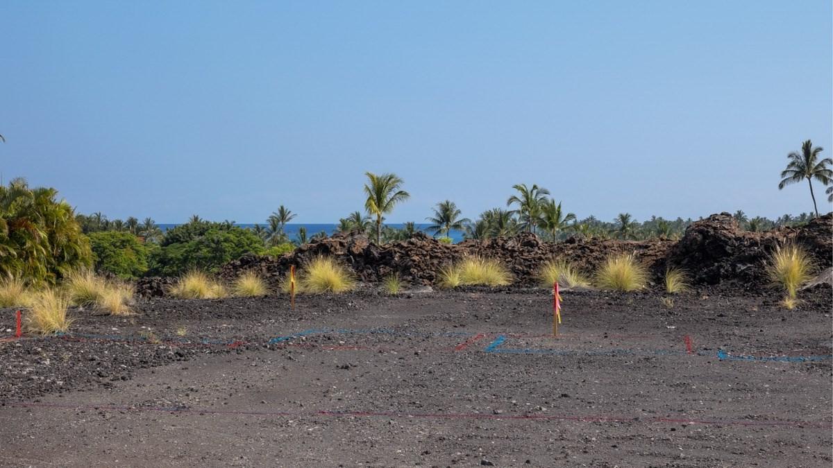72-3056 Uluweuweu Hema Pl - Photo 1