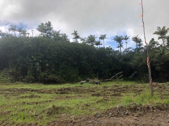 Huina Rd - Photo 1