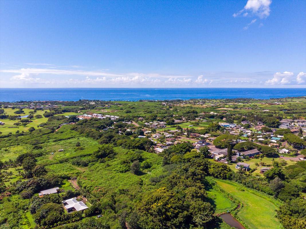 3330 Kapau Rd - Photo 1