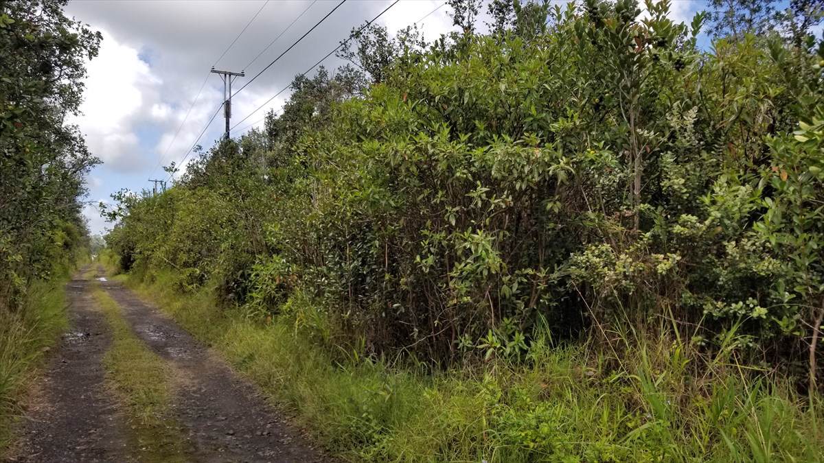 Road 10 (Poouli) - Photo 1