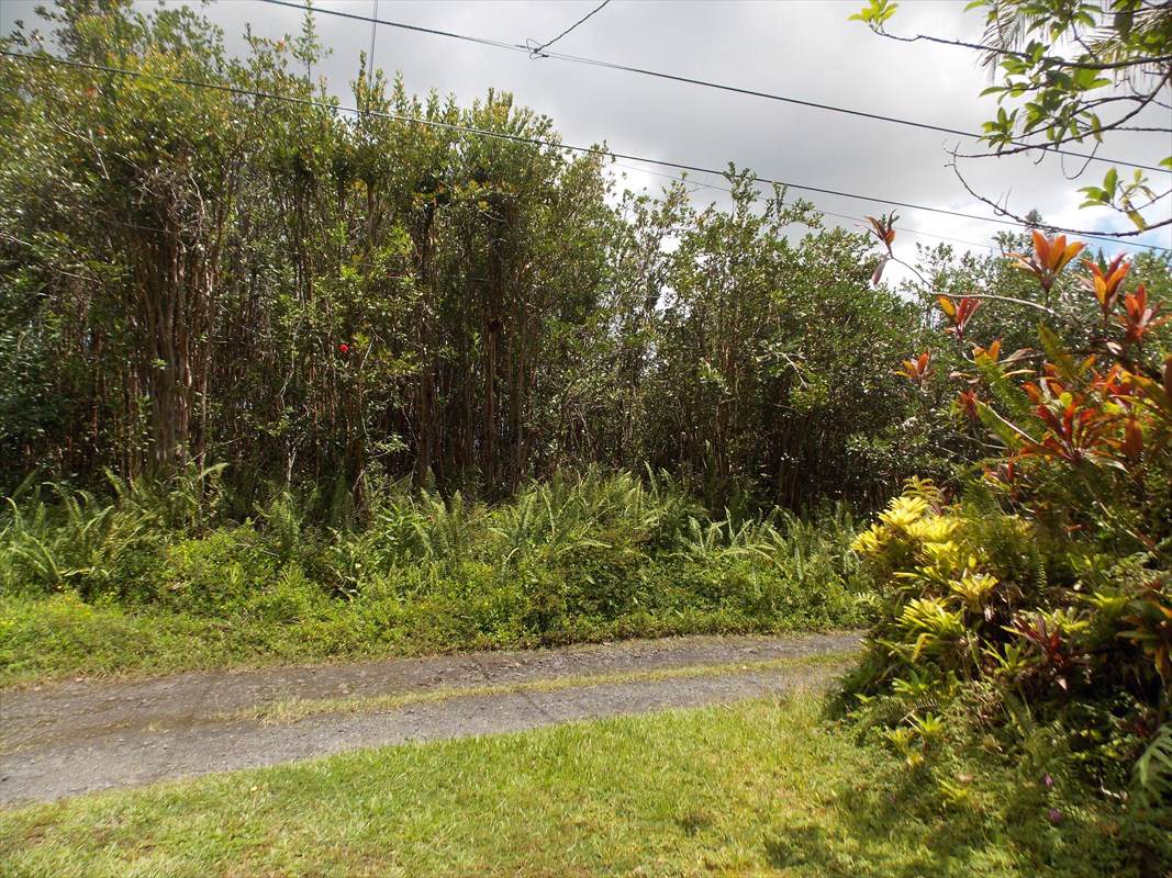 16-1399 Road 6 (Ooaa) - Photo 1