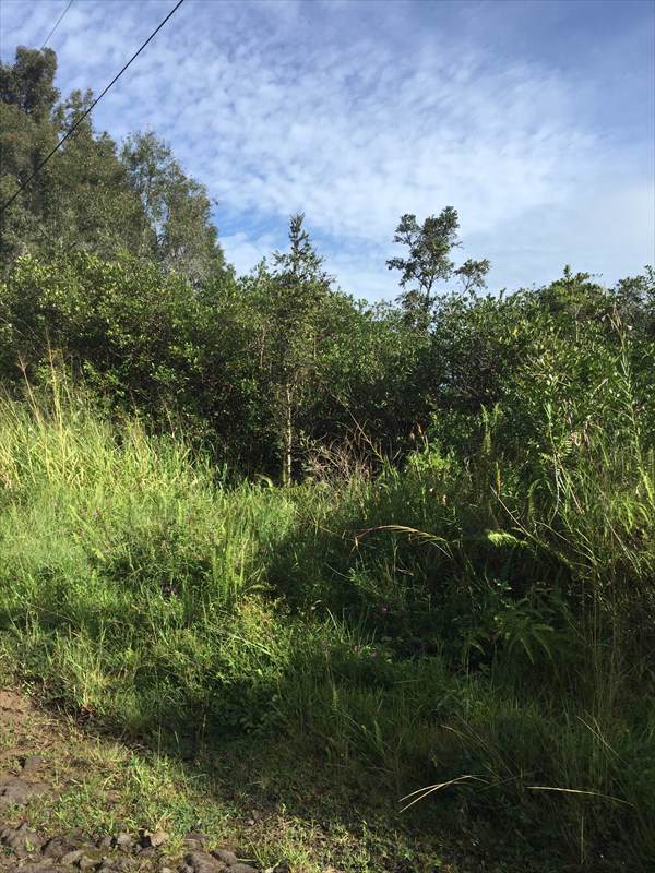 39TH AVE - Photo 1