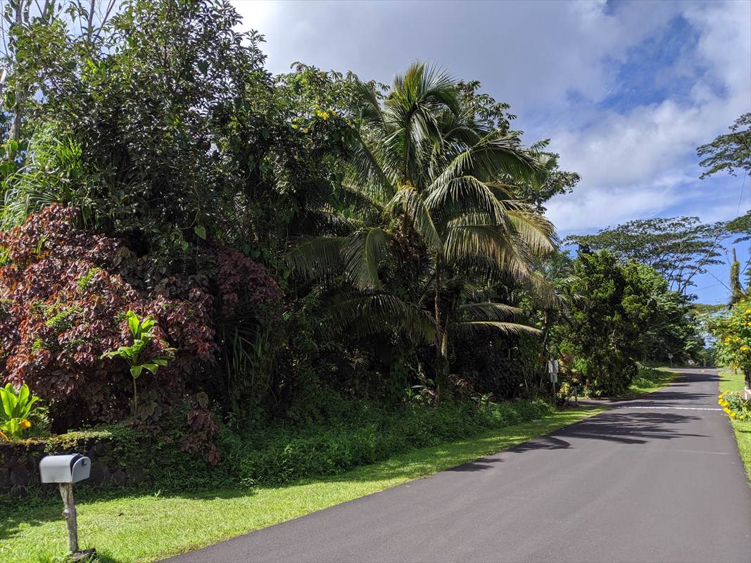 15-2764 Kumu St - Photo 1 15-2764 Kumu St - Photo 1