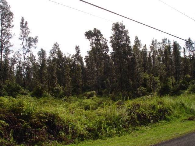 Lehua - Photo 1