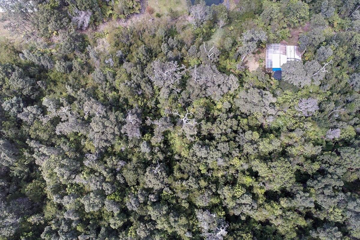 19-4269 Haunani Rd - Photo 1