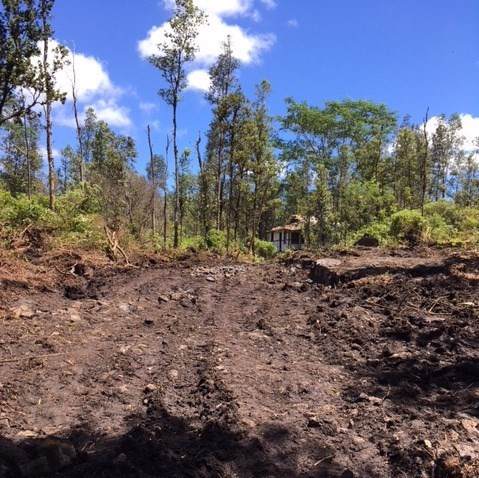 16-899 Wao Kele Rd - Photo 1