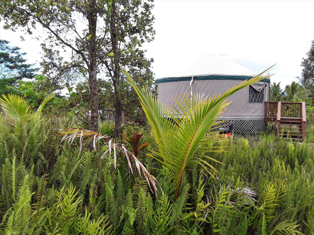12-7019 Kehauopuna St - Photo 1