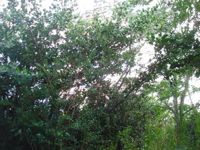 21ST AVE - Photo 1