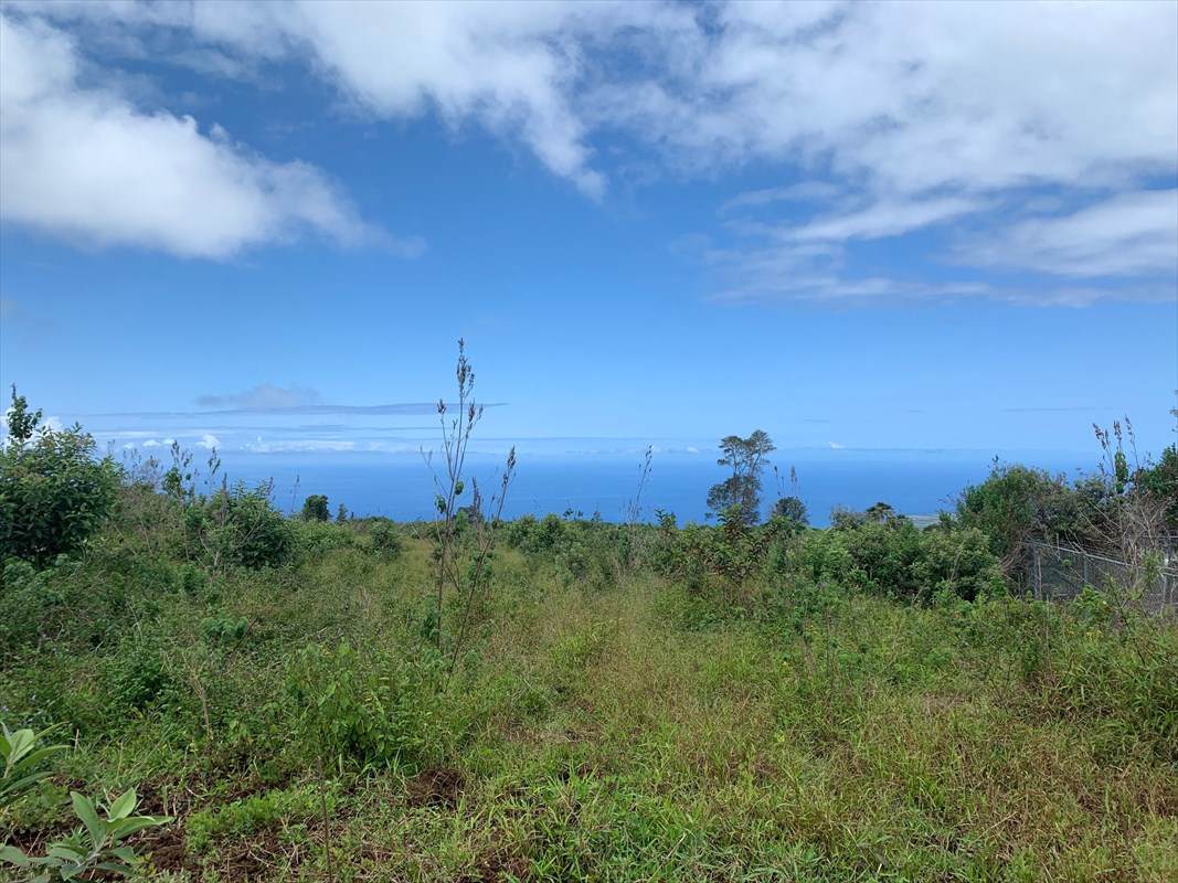 75-5498 Nalo Meli Dr - Photo 1