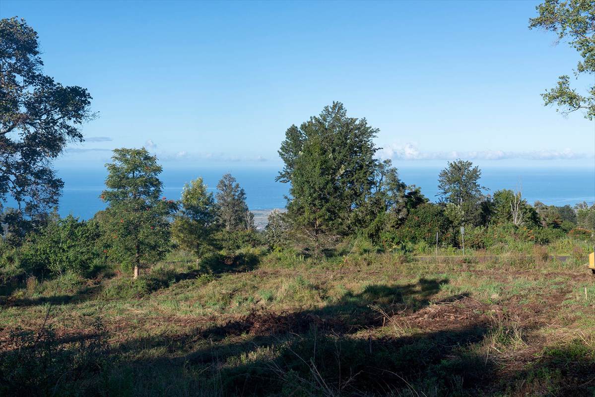 75-1274 Keopu Mauka Dr - Photo 1