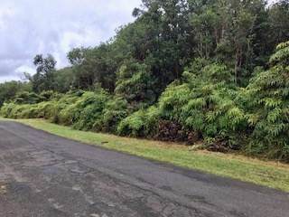 11-2715 Lehua Street - Photo 1