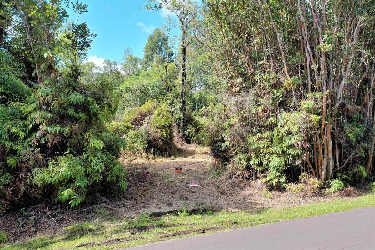 18-8069 Kulani Road - Photo 1