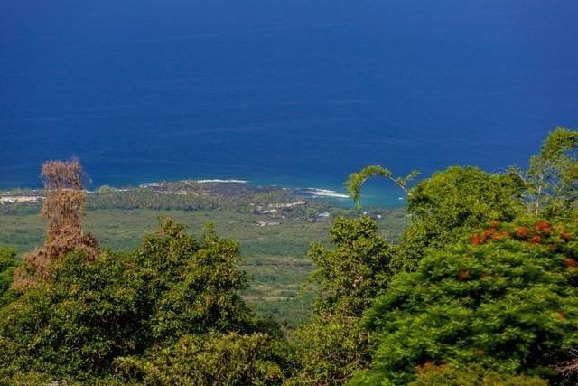 84-5038-E Hawaii Belt Rd - Photo 1