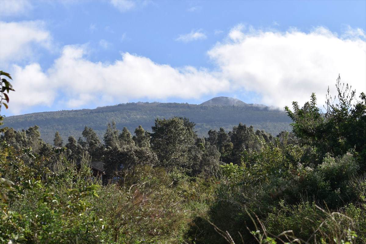 Kuahewa Rd. - Photo 1